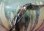 画像3: セイコー・ファイブ・アクタス・紳士自動巻き・美品・黒【グレイの濃いめ】文字板・【１９７６年・昭和５１年・８月生まれ】