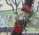 画像4: セイコー・ビーナス・昭和4０年代婦人用手巻・角型長方形【１９６７年・昭和４２年４月生まれ】 (4)