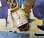 画像2: Ｓマークのセイコー・メリット・【１９５８年・昭和３８年・８月生まれ】婦人用手巻きデッドストック・タグ付