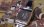 画像3: セイコーコーラスカレンダー・フルオリジナルデッドストック・婦人用手巻き・　【１９６８年・昭和４３年・１０月生まれ】