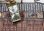 画像6: シチズン・アミー・婦人用手巻・長方形・１９６４年・昭和３９年・２月生まれ】