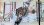 画像2: シチズン・クレール・婦人用手巻・小型・美品・【１９７１年・昭和４６年・１１月生まれ】