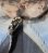 画像2: シチズンコスモスターV2・スーパービート・婦人用自動巻き・【１９７１年・昭和４６年・１１月生まれ】