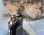 画像3: シチズンコスモスターV2・スーパービート・婦人用自動巻き・【１９７１年・昭和４６年・１１月生まれ】