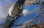 画像3: セイコー・チャンピオン・紳士手巻き・非防水・【１９６１年・昭和３６年・４月生まれ】
