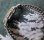 画像3: 土星のマークの、エニカ【スイス】ウルトラソニック・紳士手巻き・焼けた文字板が、アンティークの雰囲気を・１９５０年代から６０年代