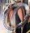 画像2: ラドー・グリーンホース・婦人用自動巻き・文字板イカリのマーク・【１９６０年代から１９７０年代にかけて】