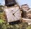 画像9: タカノ・スーパー・幻の時計と言われる紳士角型手巻・変わり文字板・【１９５９年・昭和３４年〜】