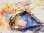 画像5: セイコー・ソーラー・人気のアーモンドタイプ・婦人用手巻き・【１９６６年〜】