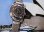 画像5: セイコージョイフル・婦人用自動巻き・紺文字板・【１９７４年・昭和４９年・２月生まれ】